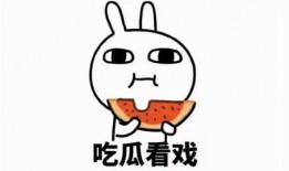网红的吃瓜视频文案搞笑,笑料百出，瓜田笑果连连